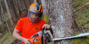 "HOLZ PRILLER"