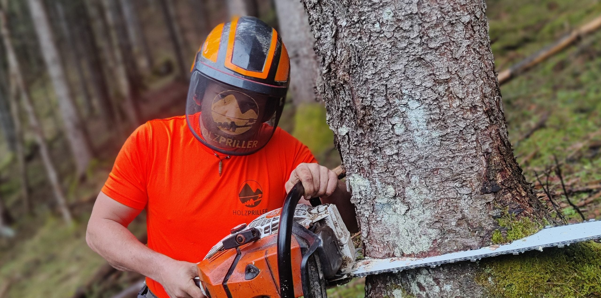 "HOLZ PRILLER"
