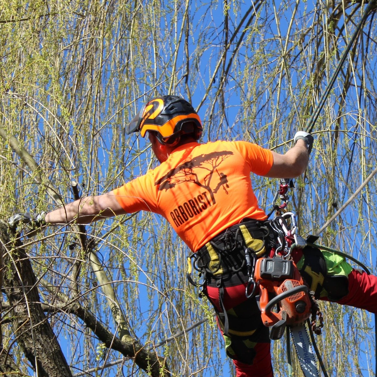 funktions shirt forst arborist