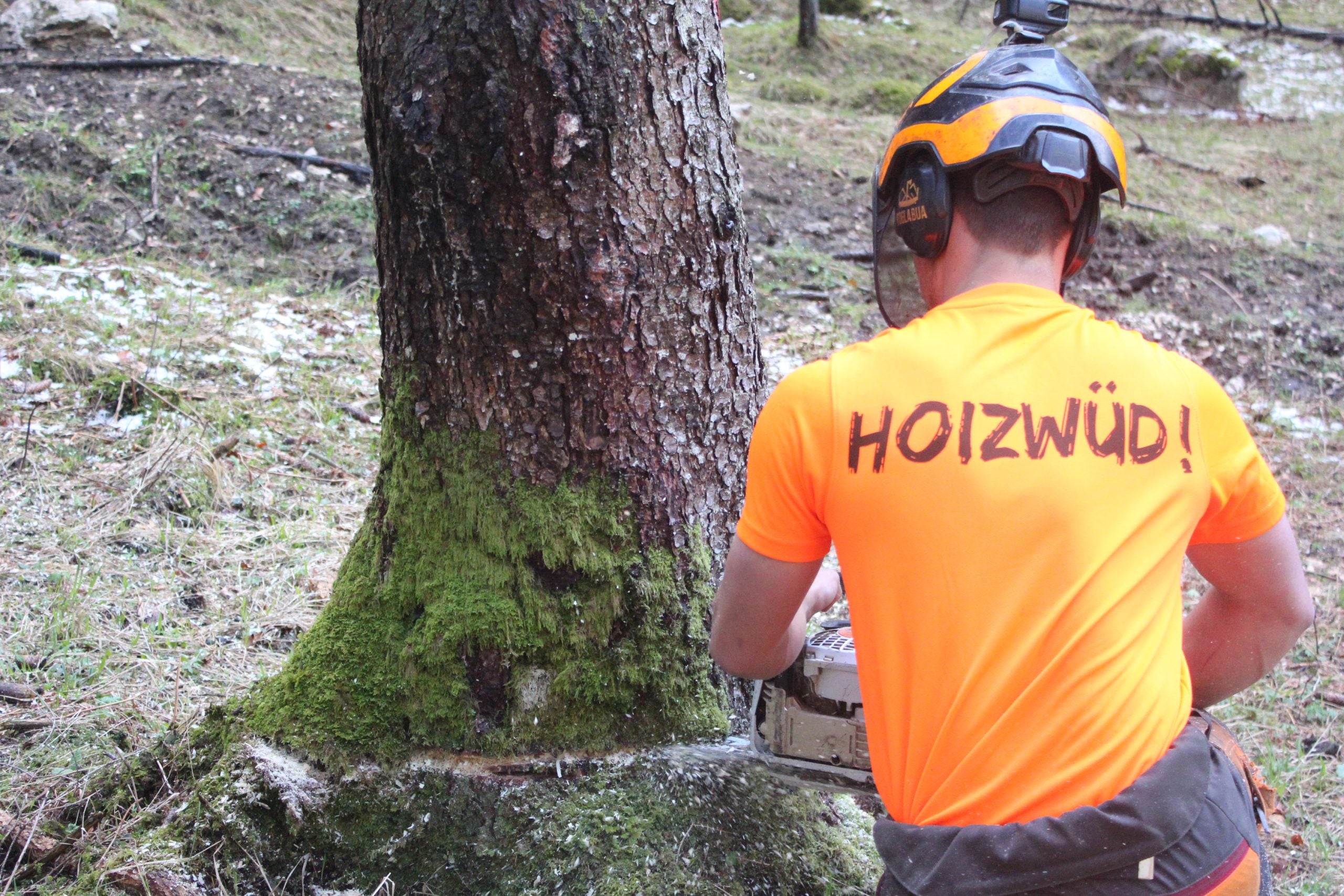 "HOIZWÜD"