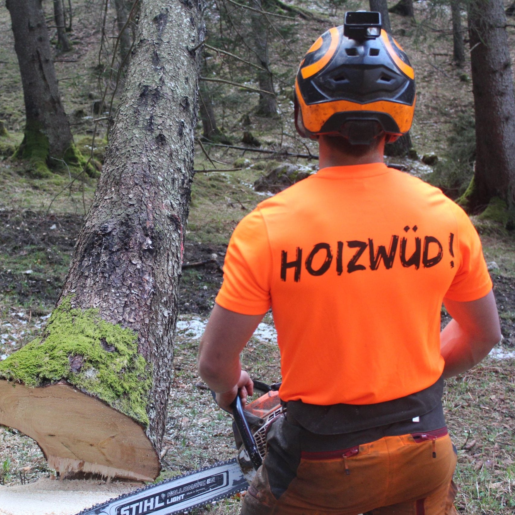 funktions shirt forst hoizwüd