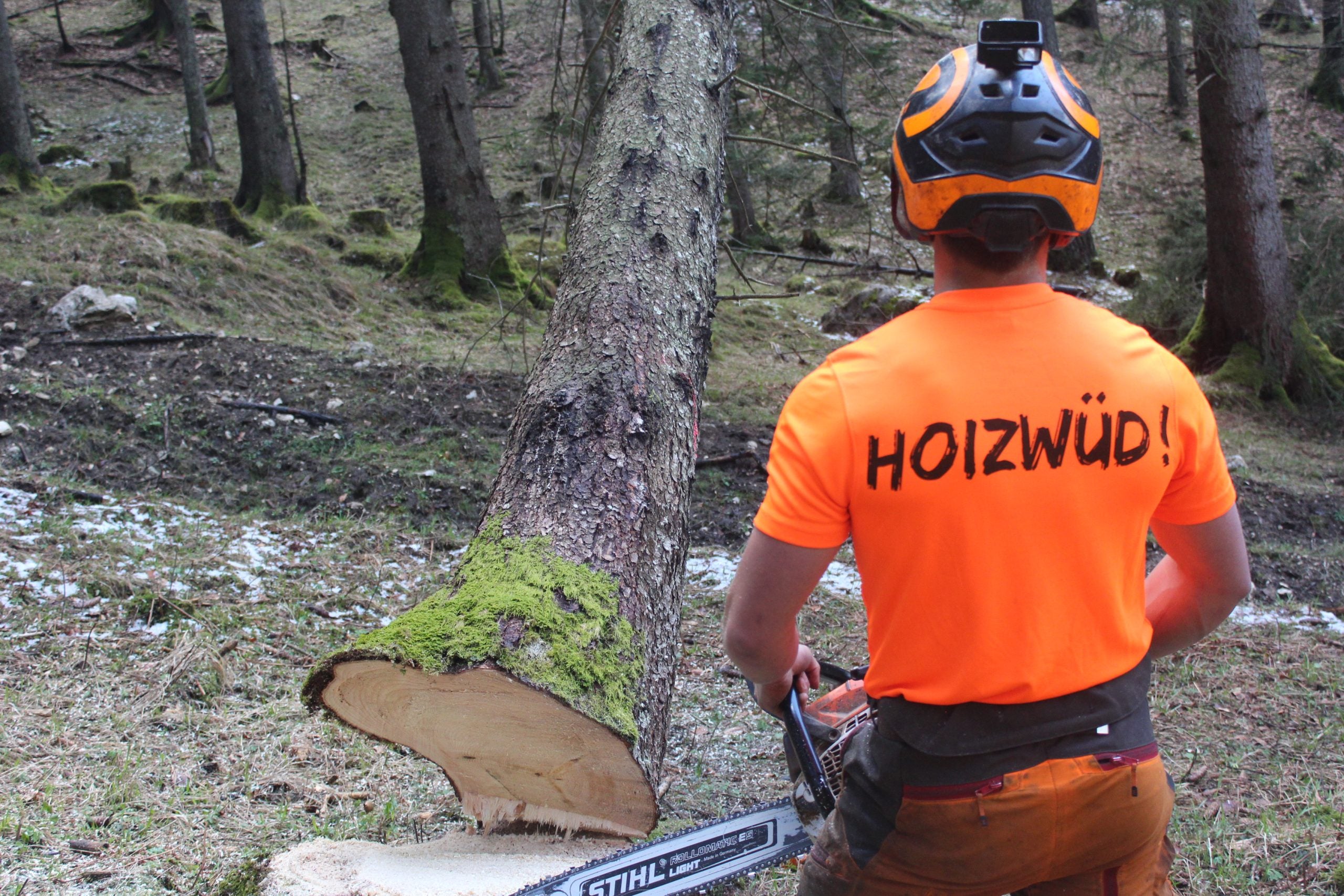 "HOIZWÜD"