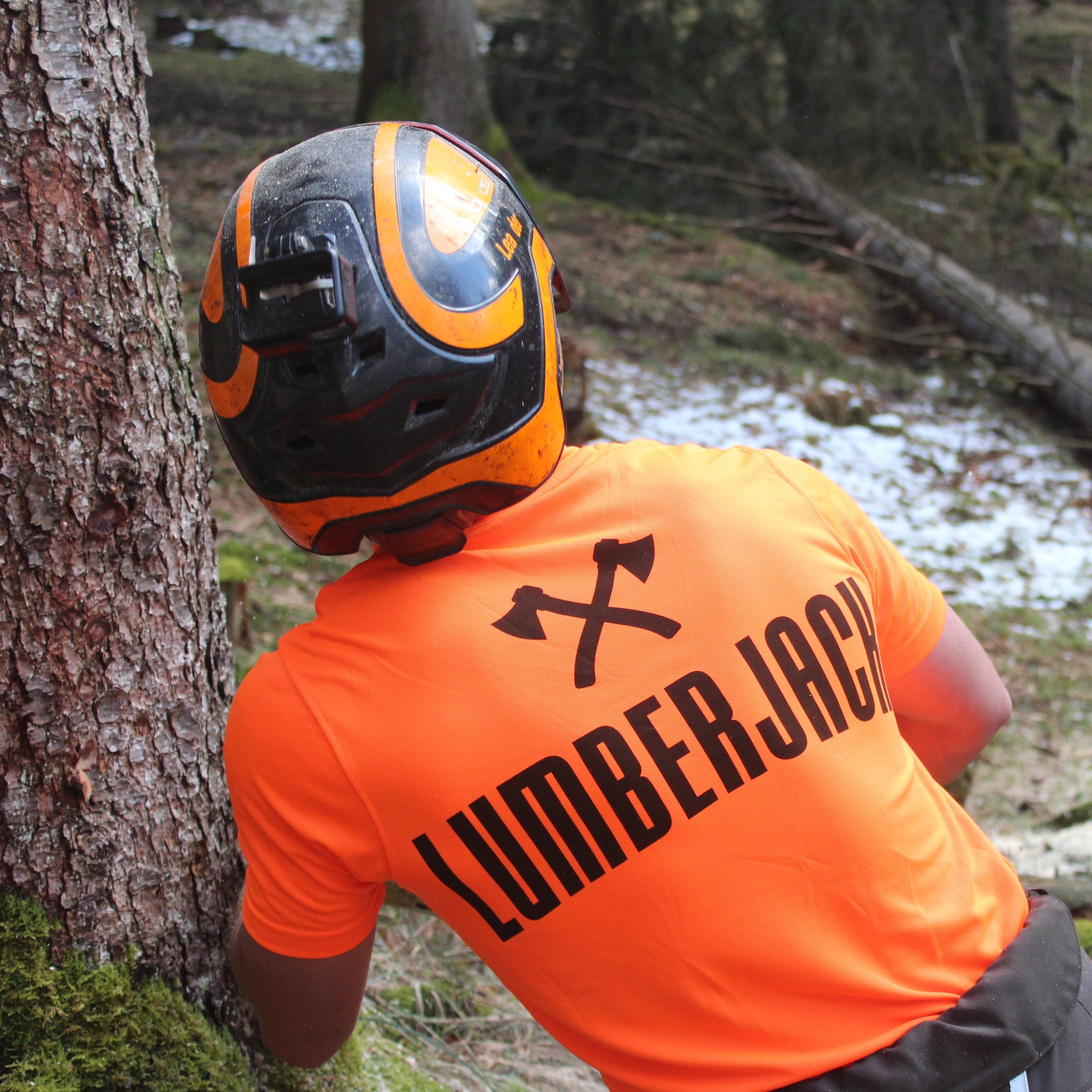 Lumberjack old