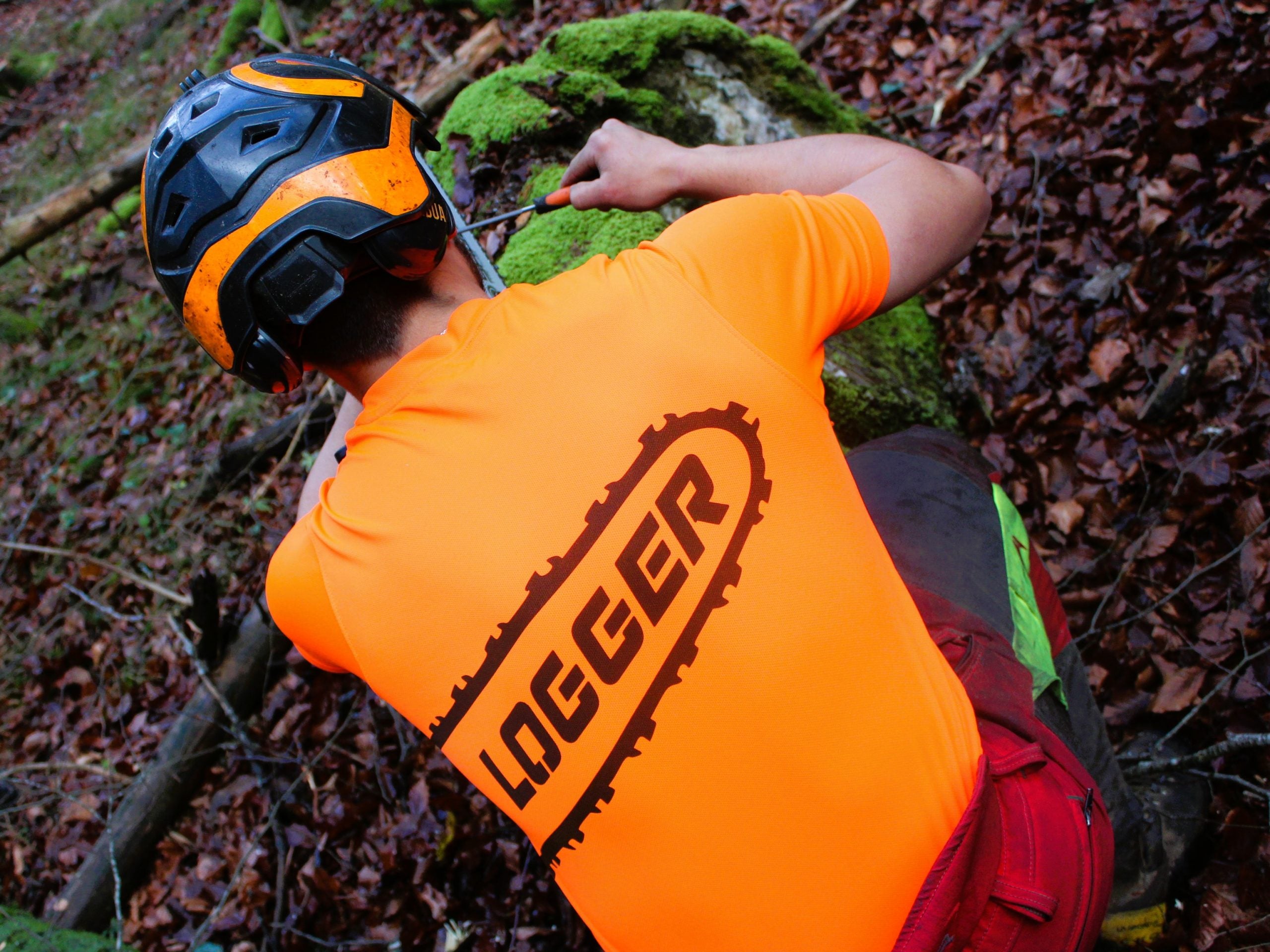 "LOGGER"
