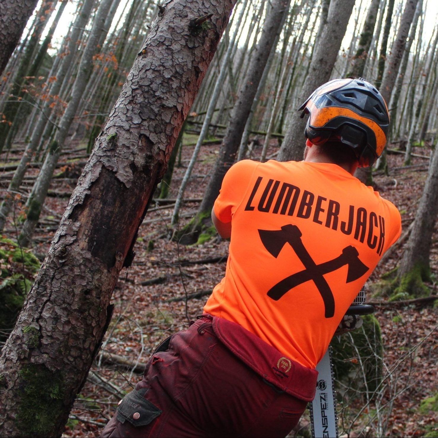 funktions shirt forst lumberjack