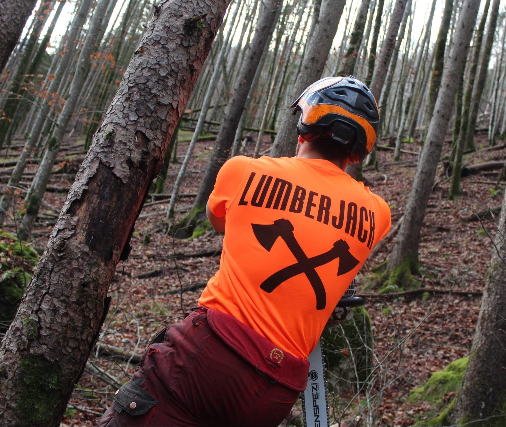 "LUMBERJACK"