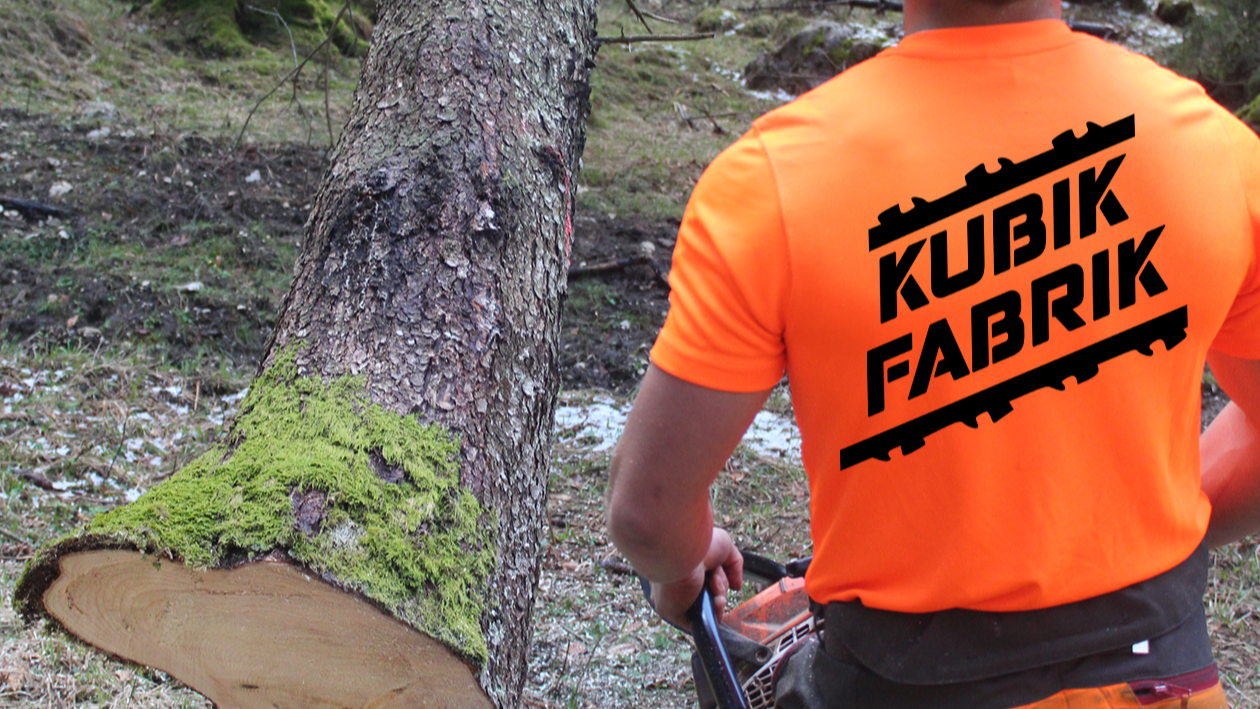 funktions shirt forst kubik farbrik